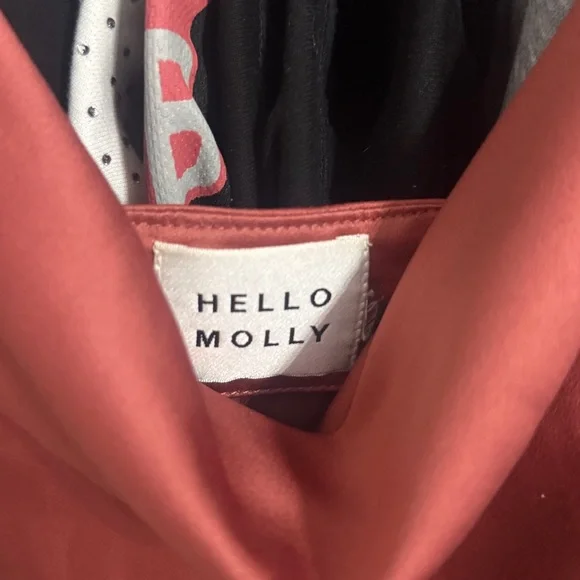 Hello Molly Terracotta Satin Dress - Picture 2 of 4